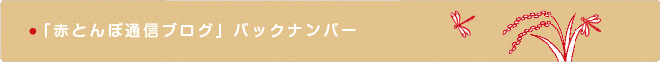 赤とんぼ通信バックナンバー